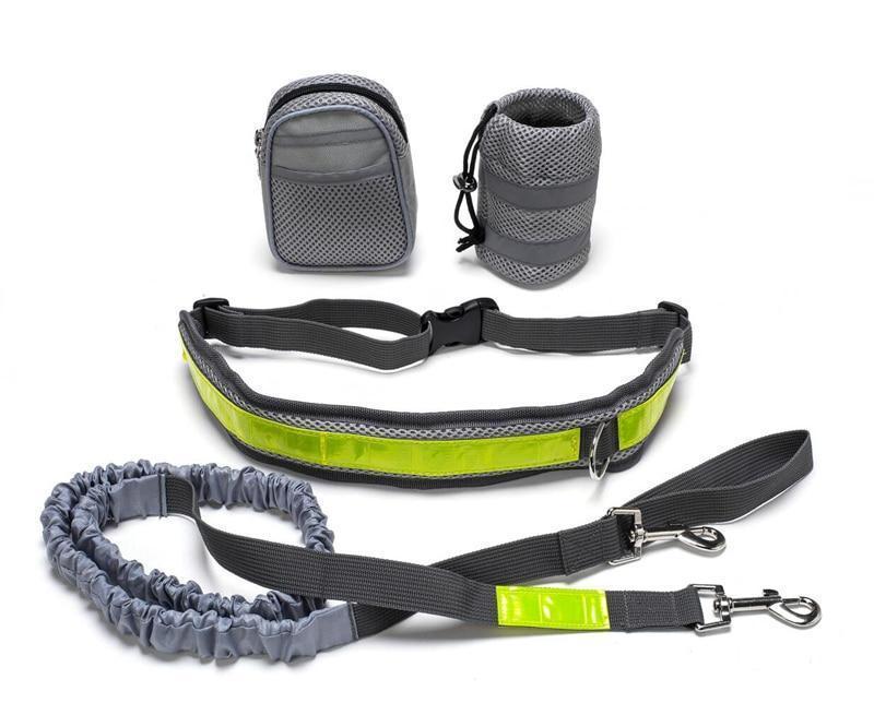 Adjustable Hands Free Dog Leash - RM