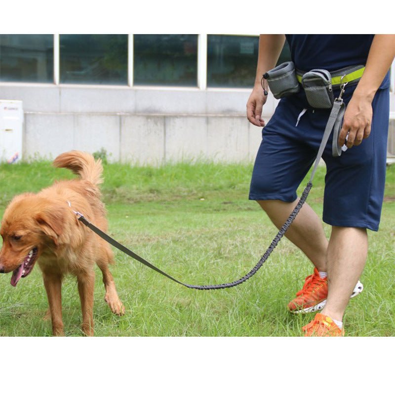 Adjustable Hands Free Dog Leash - RM