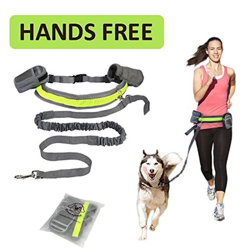 Adjustable Hands Free Dog Leash - RM