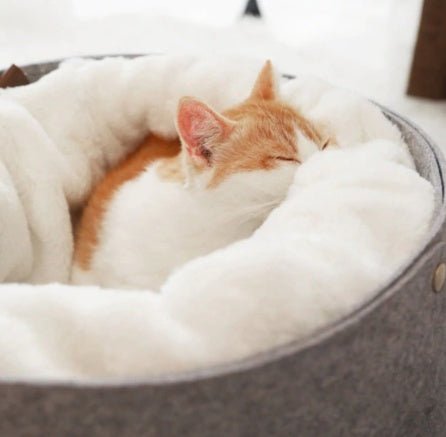 Comfortable and durable pet bed - RM