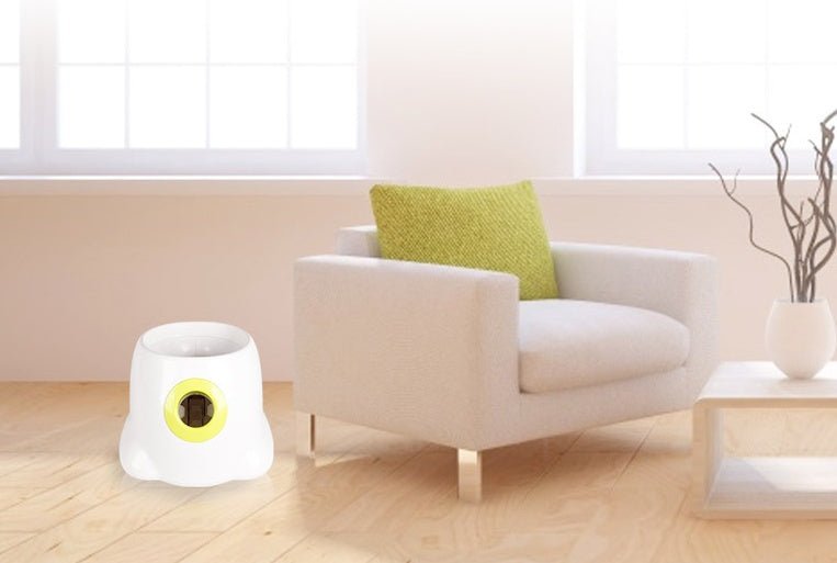 Dog Pet Automatic Interactive Ball Launcher - RM