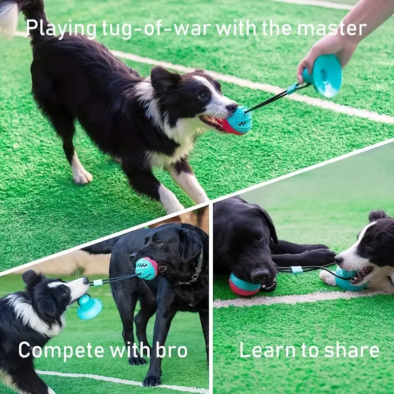 Dog Toys For Aggressive Chewers - RM
