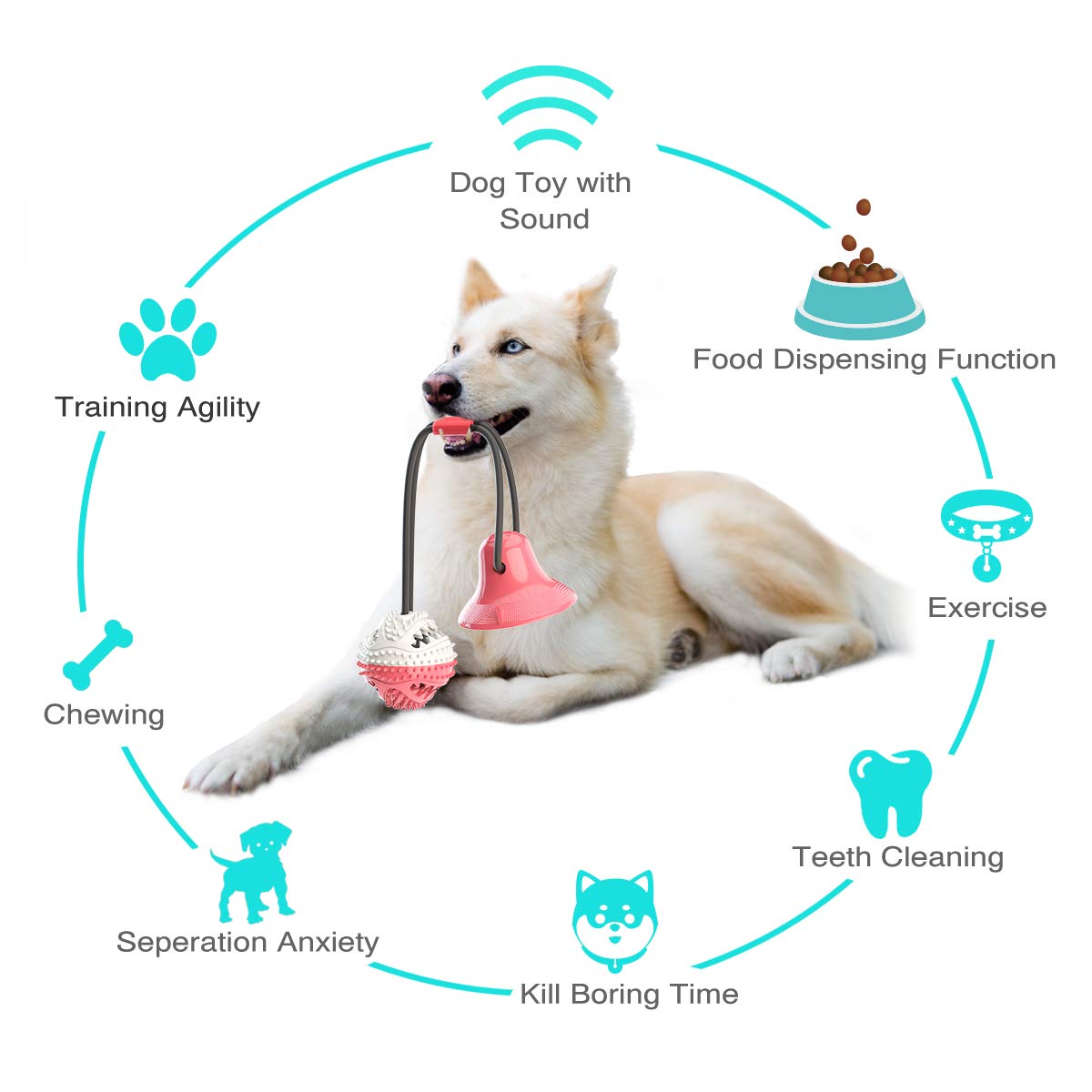 Dog Toys For Aggressive Chewers - RM