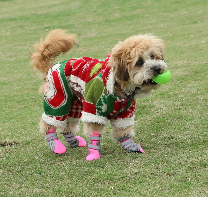 Dog Walking Shoes for Paw Protection - RM