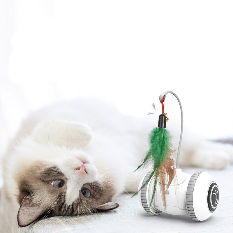 Interactive Cat Toy With Interchangeable Heads Pet Feather Toys - RM