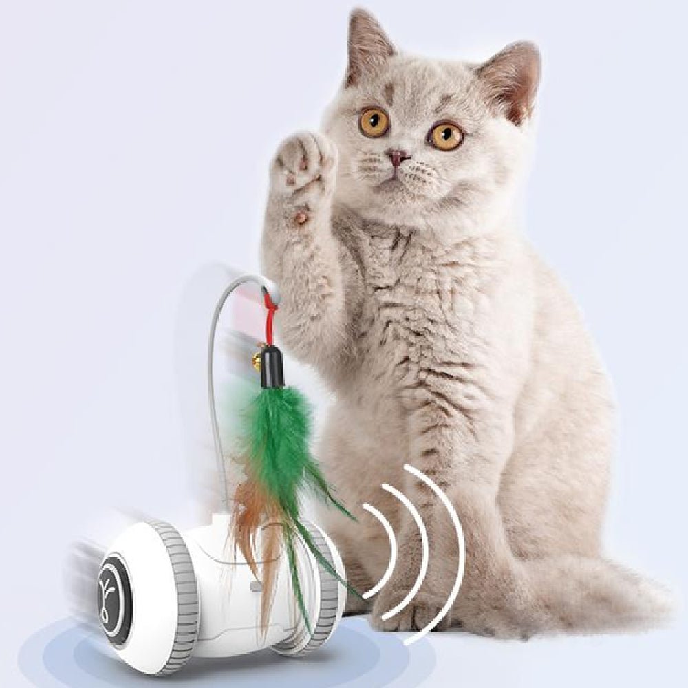 Interactive Cat Toy With Interchangeable Heads Pet Feather Toys - RM