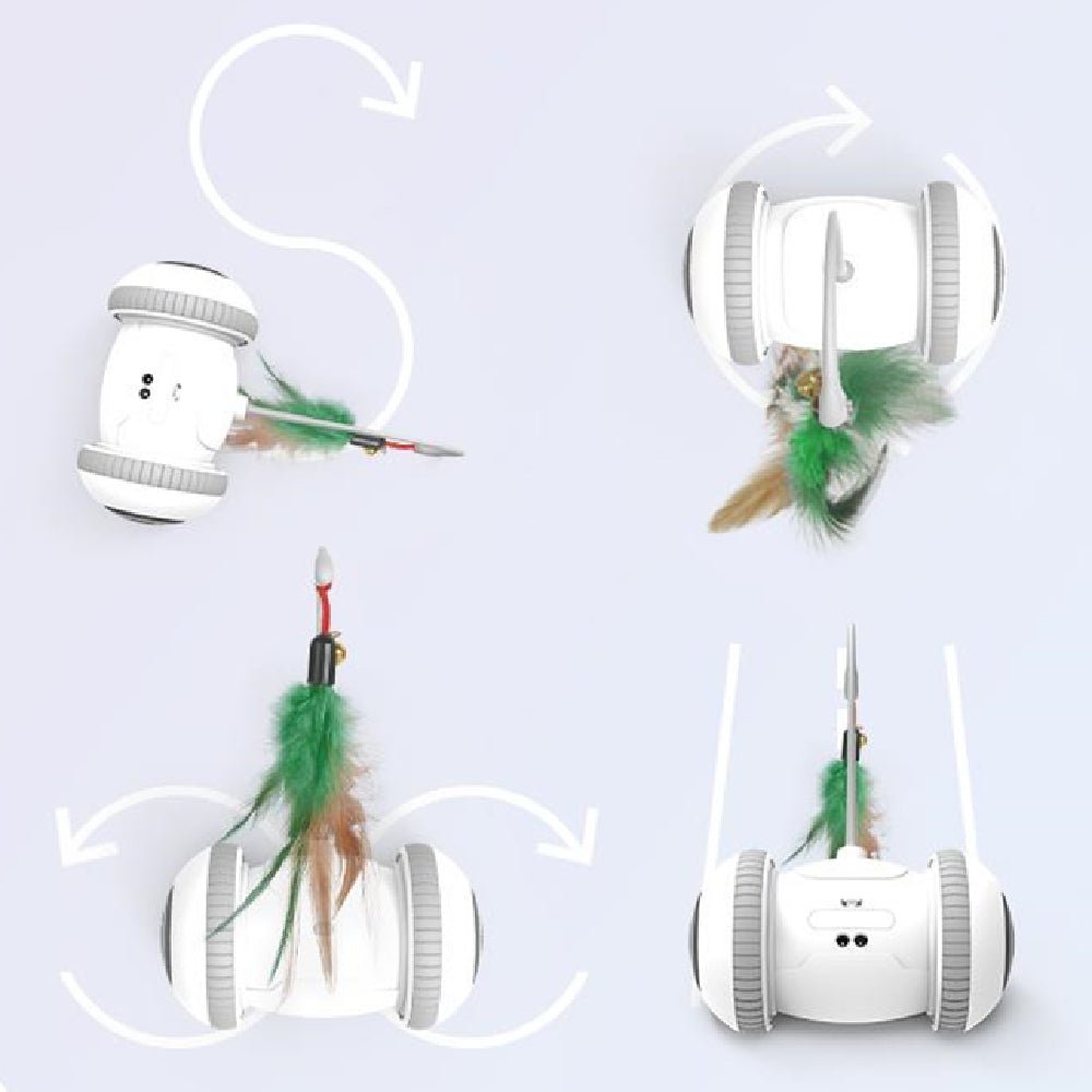 Interactive Cat Toy With Interchangeable Heads Pet Feather Toys - RM