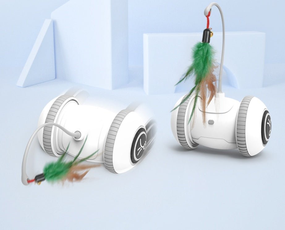 Interactive Cat Toy With Interchangeable Heads Pet Feather Toys - RM
