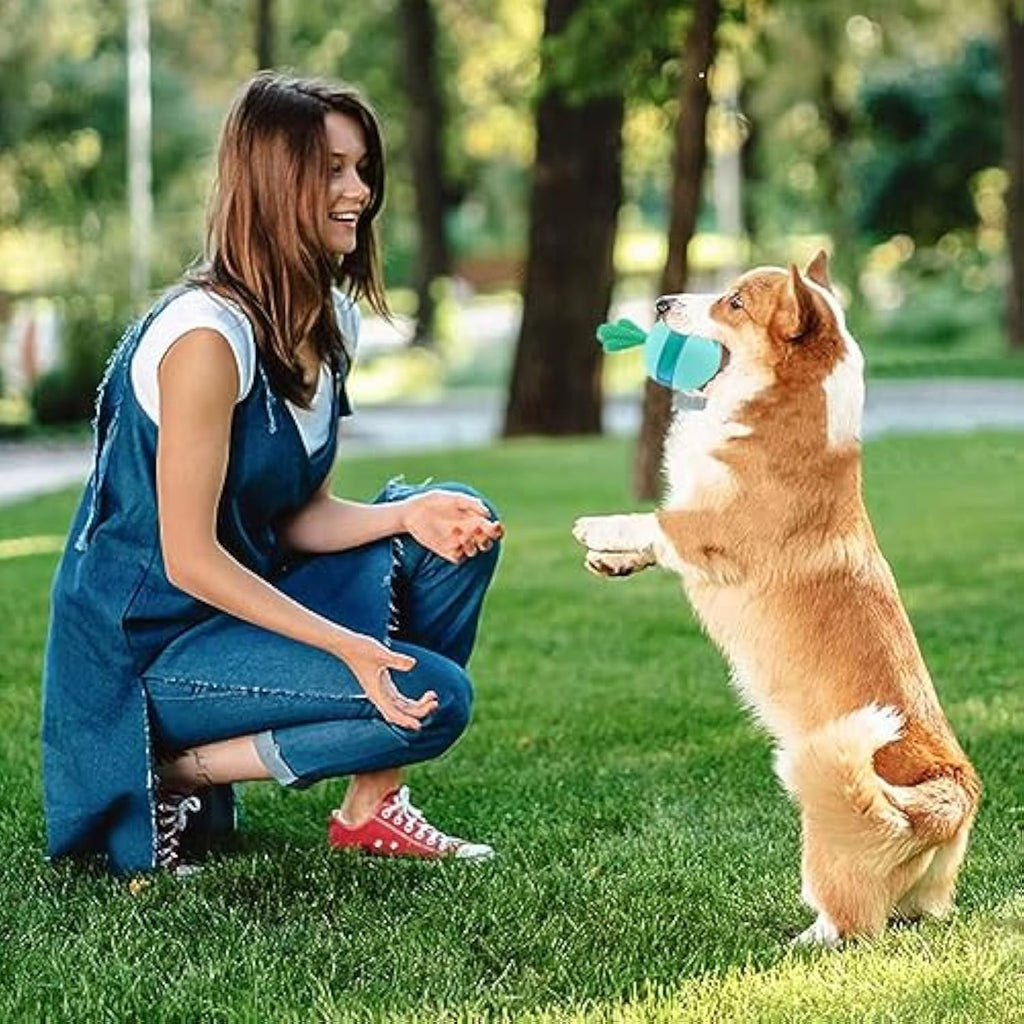Interactive Dog Puzzle Toys Balls - RM