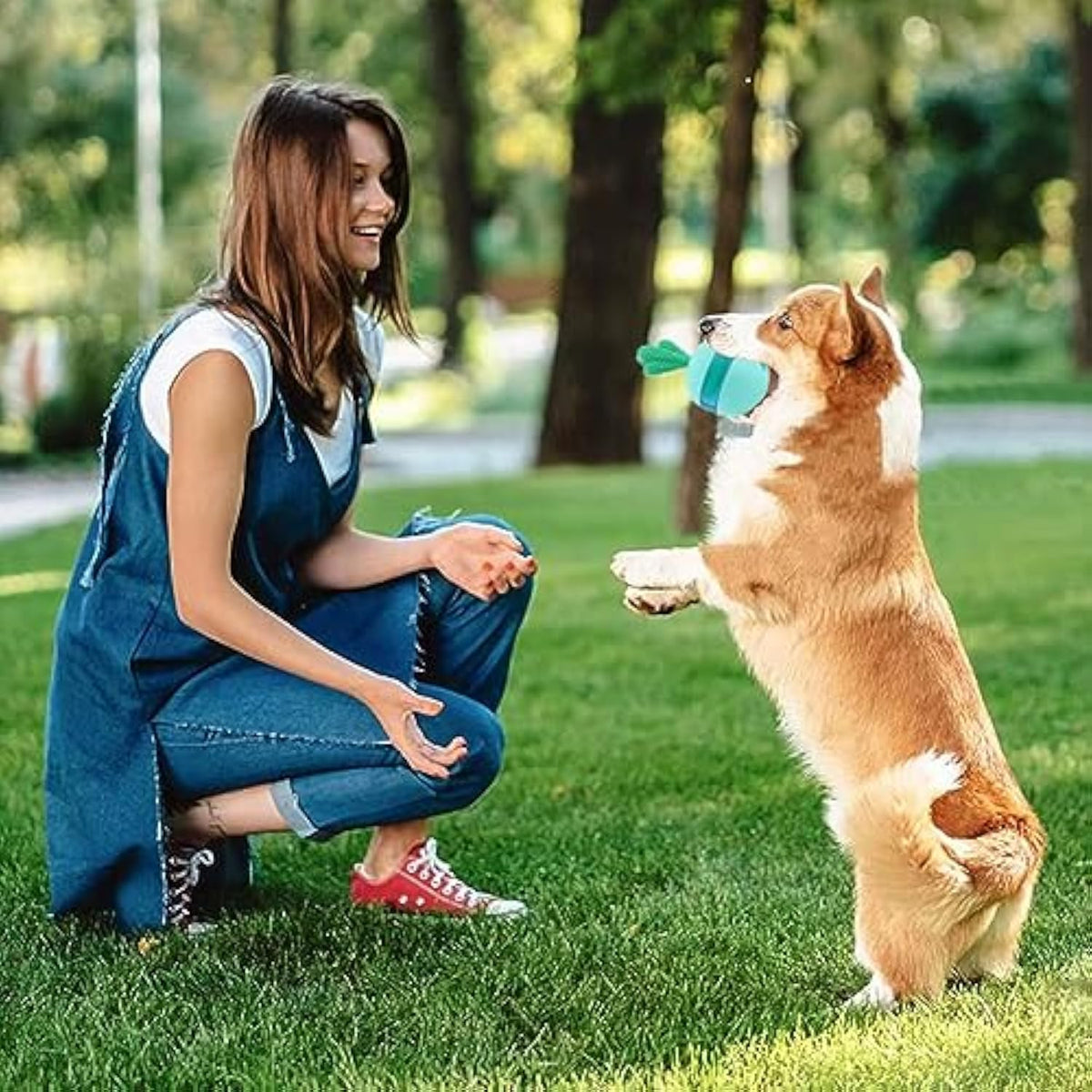 Interactive Dog Puzzle Toys Balls - RM