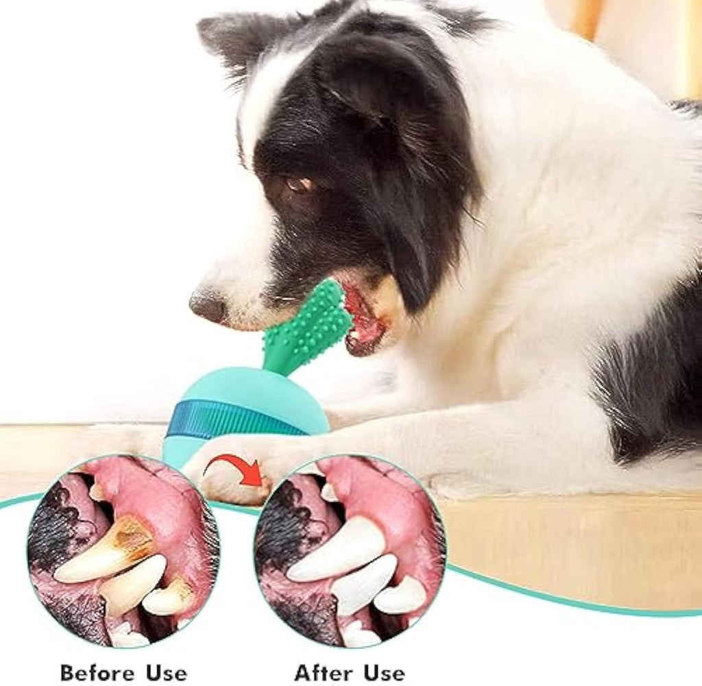 Interactive Dog Puzzle Toys Balls - RM