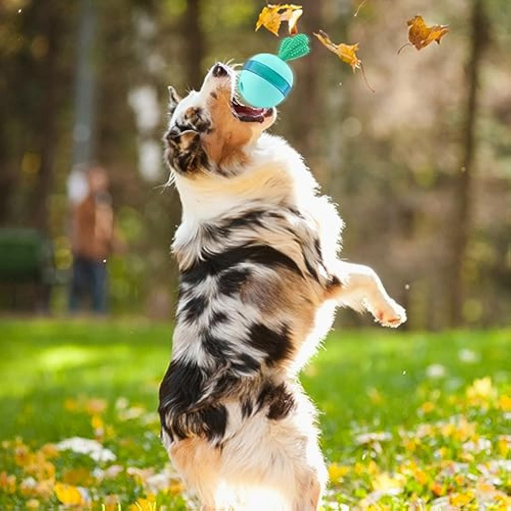 Interactive Dog Puzzle Toys Balls - RM