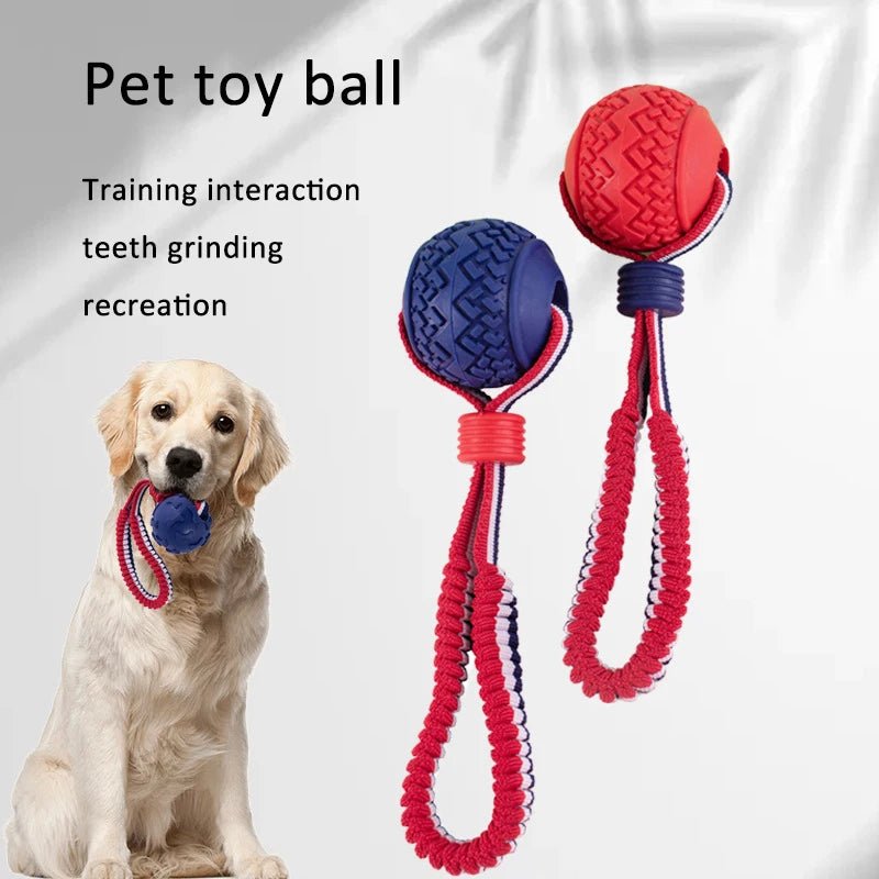 Interactive Dog Toy Ball with Rope Teether - RM