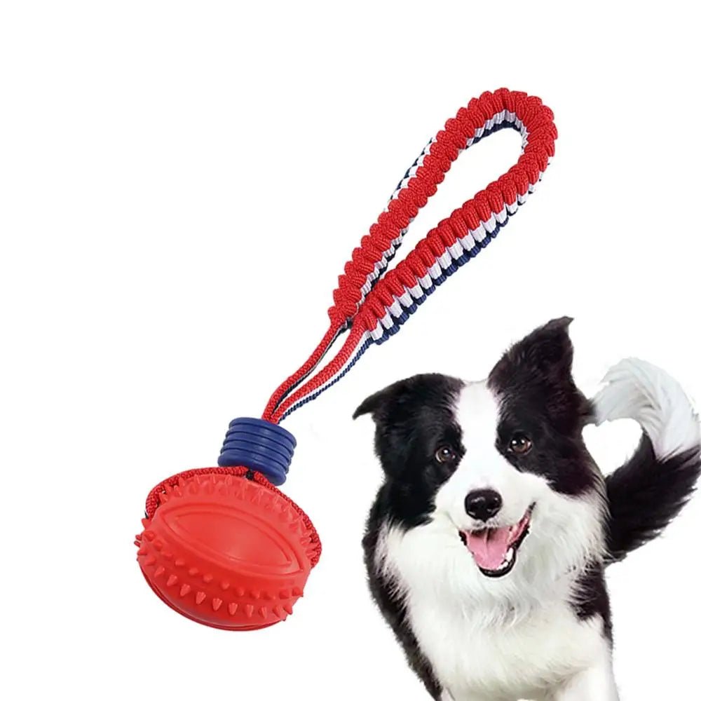 Interactive Dog Toy Ball with Rope Teether - RM