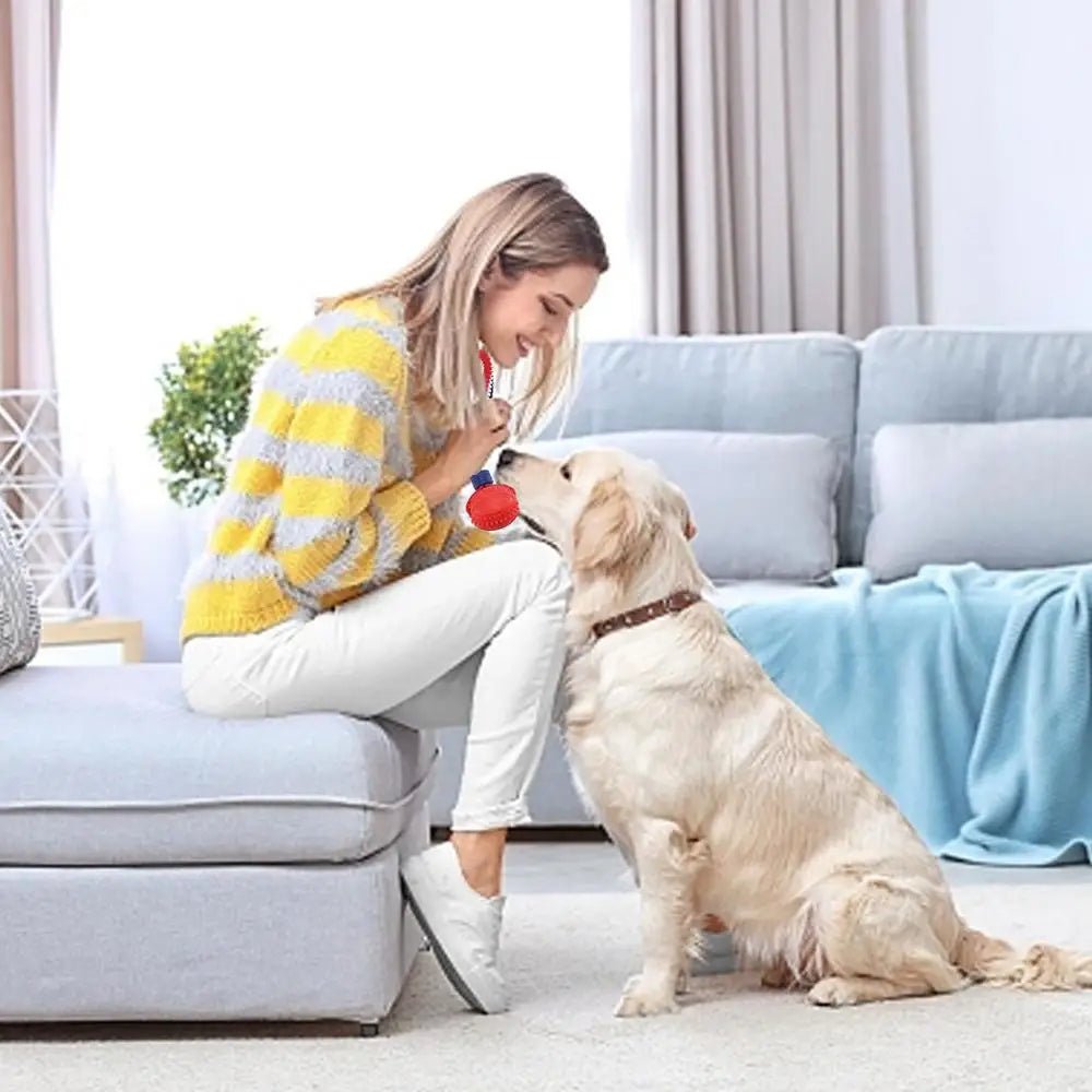 Interactive Dog Toy Ball with Rope Teether - RM