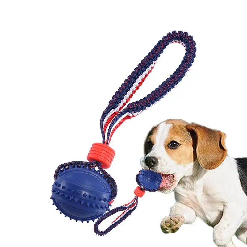 Interactive Dog Toy Ball with Rope Teether - RM