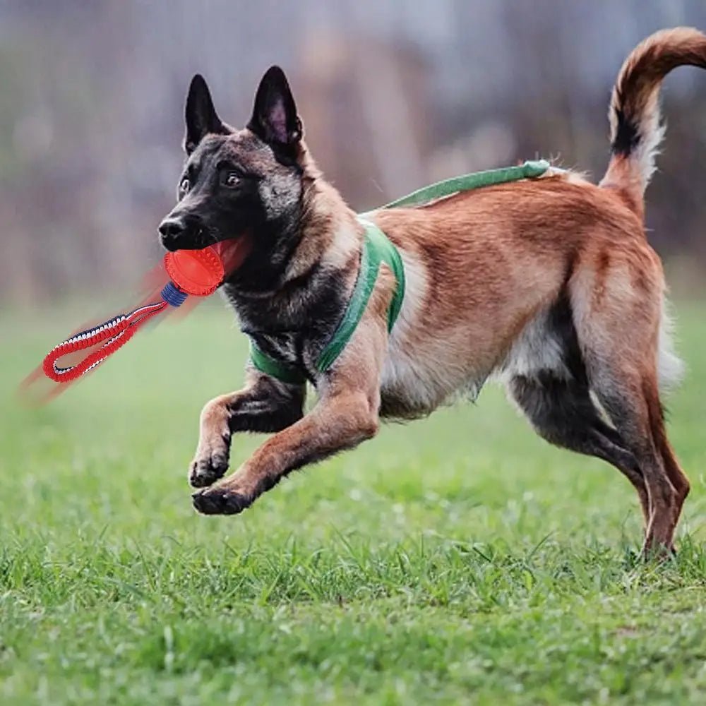 Interactive Dog Toy Ball with Rope Teether - RM