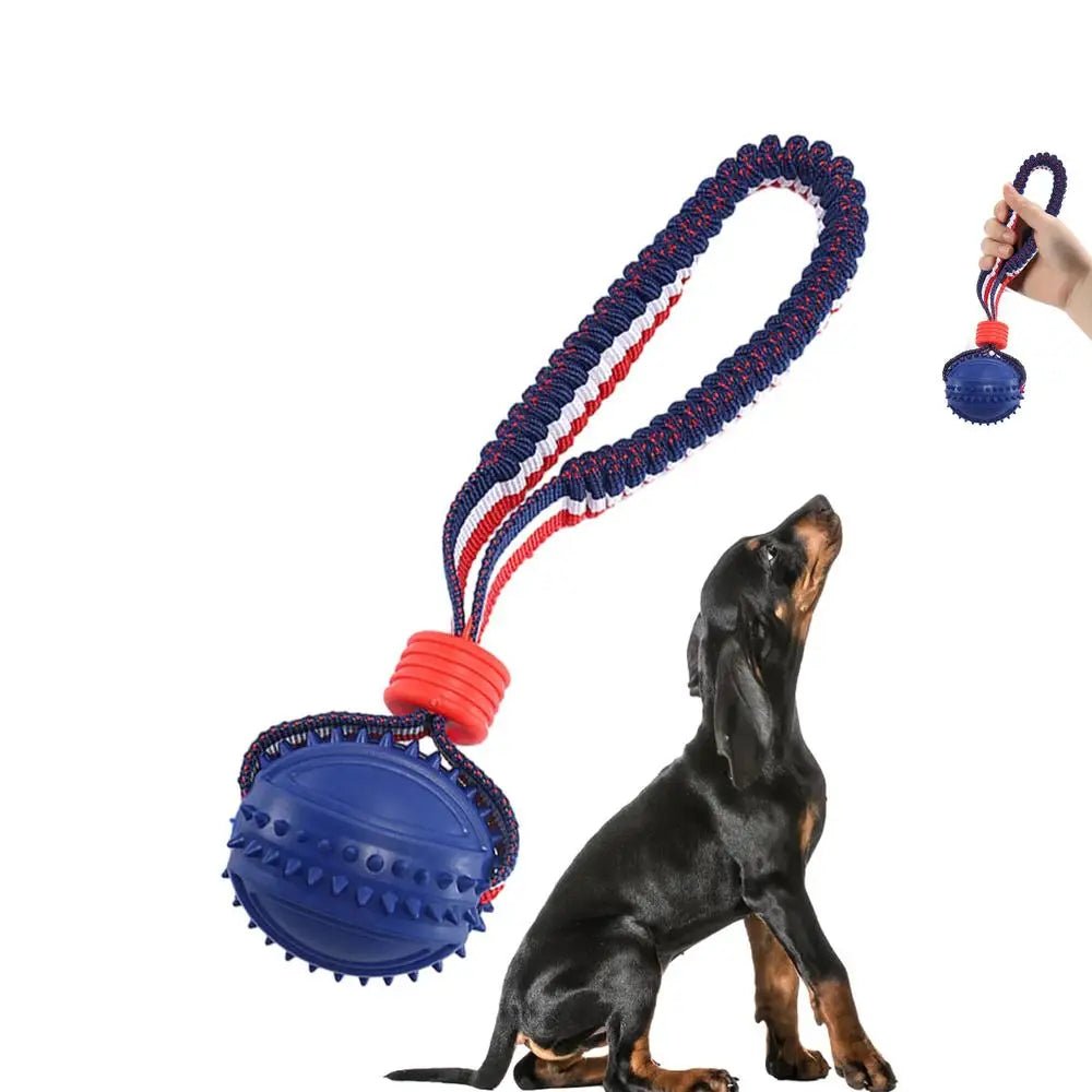Interactive Dog Toy Ball with Rope Teether - RM