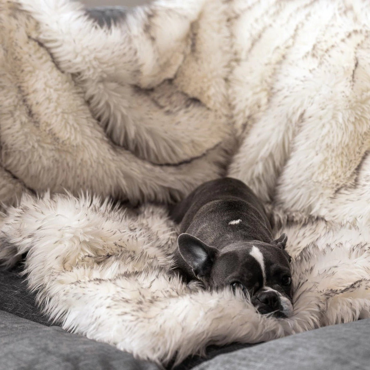 Pet Fur Waterproof Blanket - Waterproof Pet Cover - RM