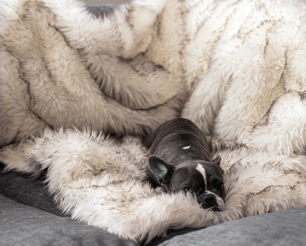 Pet Fur Waterproof Blanket - Waterproof Pet Cover - RM