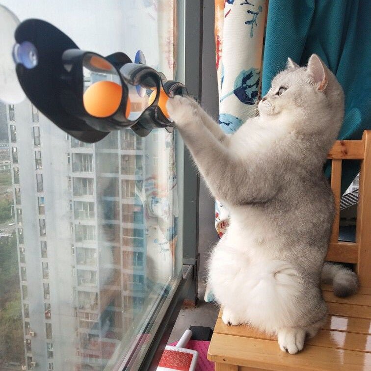 Windowsill Track Ball Toy for Cats - RM