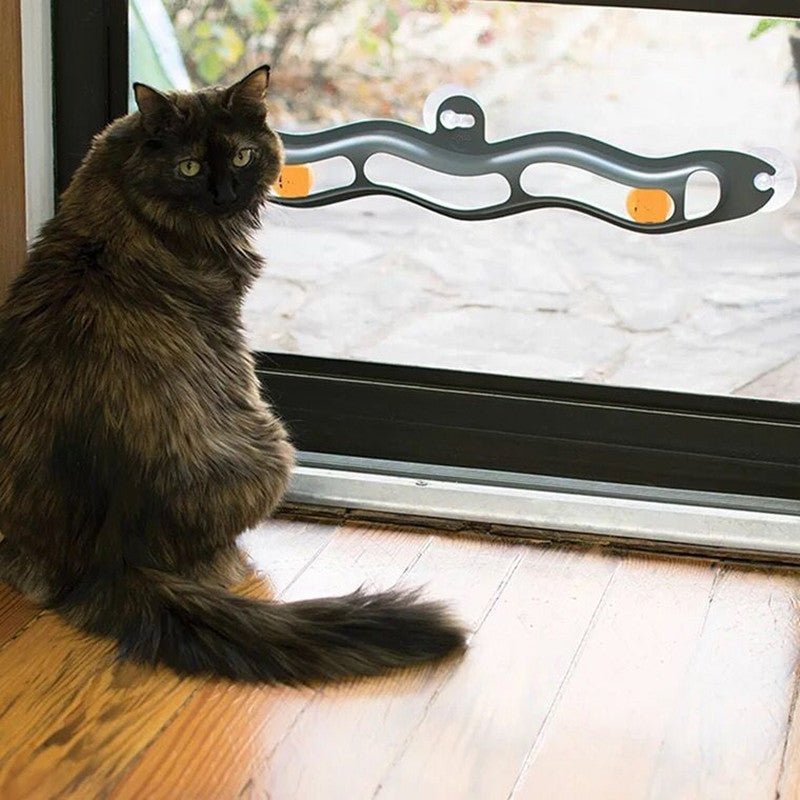Windowsill Track Ball Toy for Cats - RM