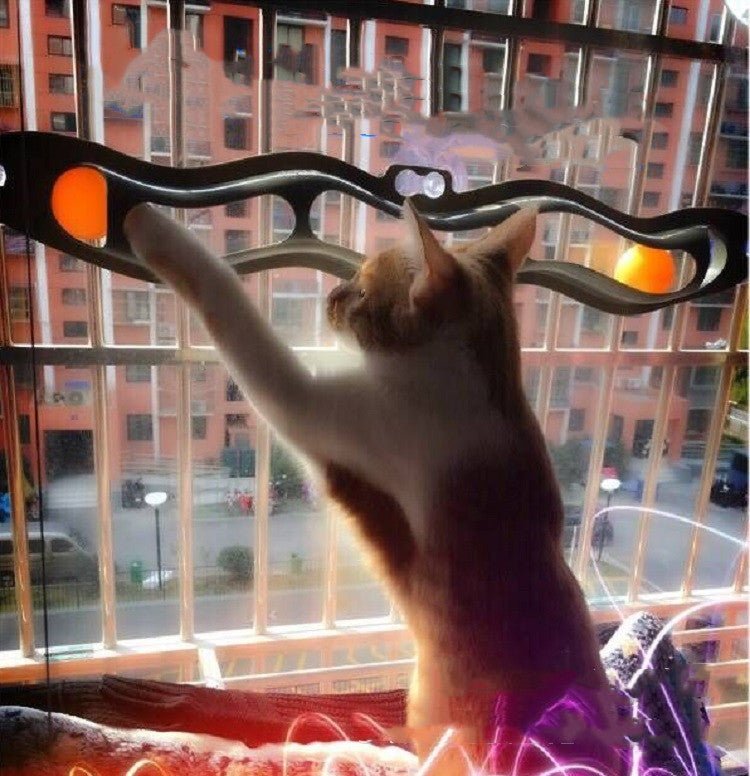 Windowsill Track Ball Toy for Cats - RM